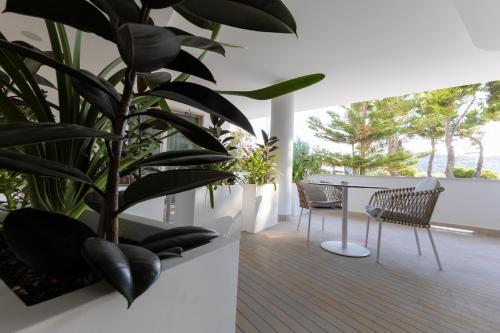 a balcony with a table and chairs and a plant at Maggiano Boutique Hotel in Peschici