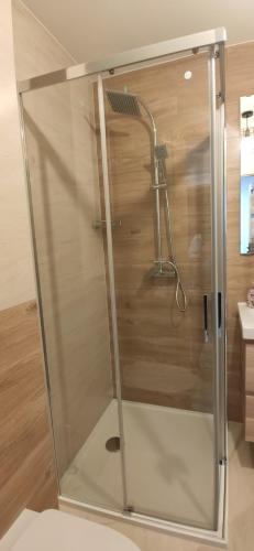a shower with a glass door in a bathroom at Apartment Jerzmanowskiego Krakow in Krakow