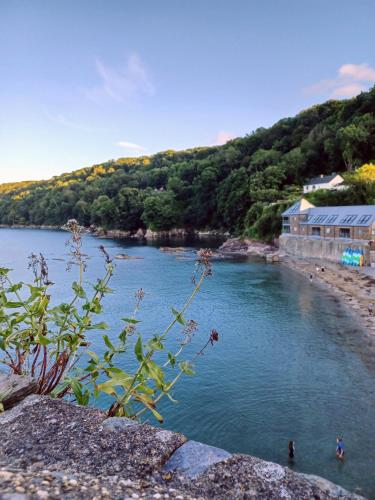 a view of a river with people swimming in it at Ocean View in Cawsand