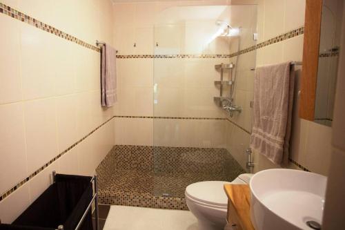 a bathroom with a shower and a toilet and a sink at Marbella AquaVista 11-18 in Juan Pedro