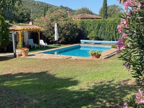 une cour avec une piscine dans une arrière-cour dans l'établissement La Borréliane, à Hyères