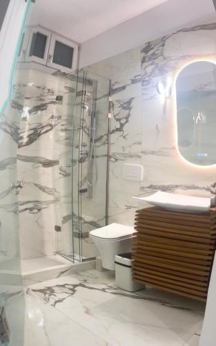 a bathroom with a toilet and a glass shower at Aristotelis Homes in Katapola