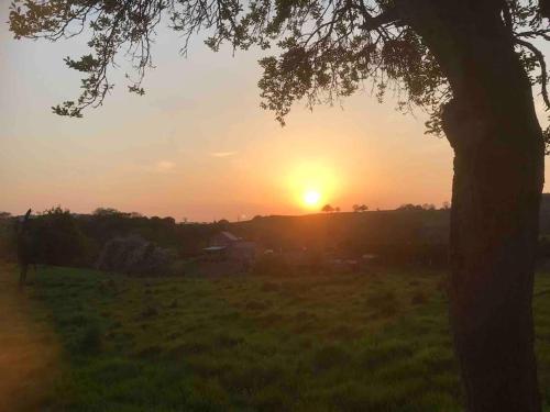 a sunset in a field with a tree at The Loft in Stockton on Teme
