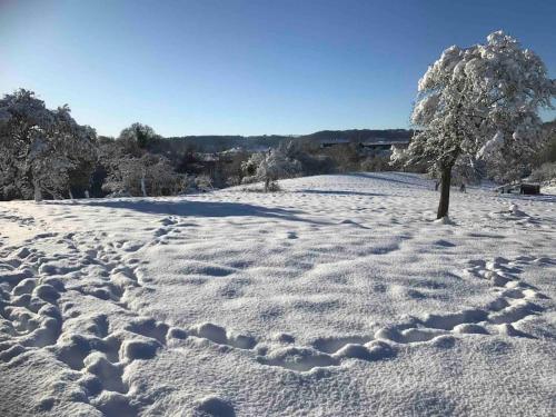 a snow covered field with a tree in the middle at The Loft in Stockton on Teme