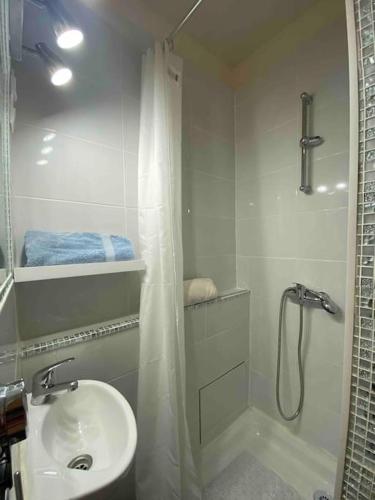 une salle de bain avec douche et lavabo dans l'établissement Jolie Studette équipée sur jardin, st mandé bois, à Saint-Mandé