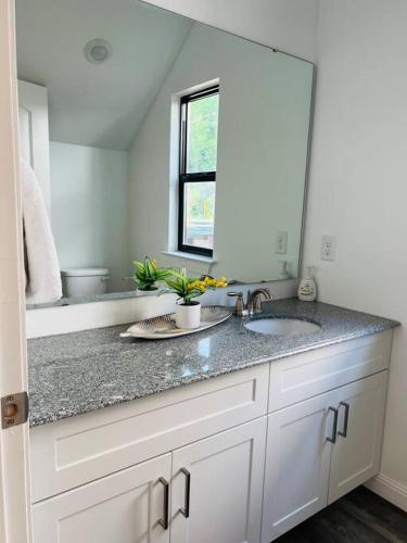 a bathroom counter with a sink and a mirror at Vacation Home in CLT King and 3Q in Charlotte