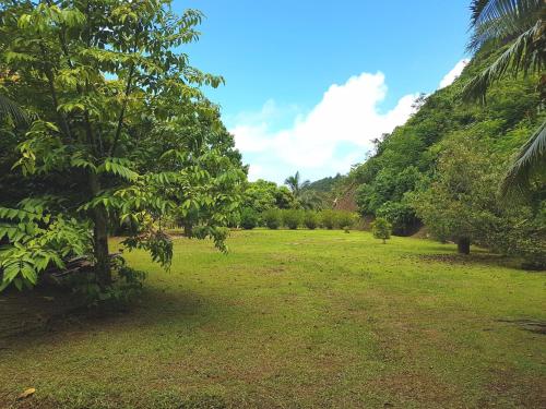 a field of grass with trees and a blue sky at HUAHINE - Fare Teakavehere Tipanier in Haapu
