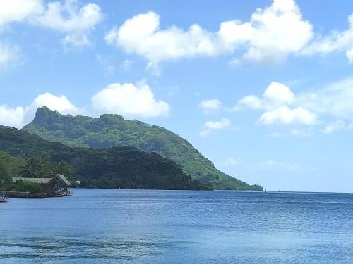a large body of water with a mountain in the background at HUAHINE - Fare Teakavehere Tipanier in Haapu