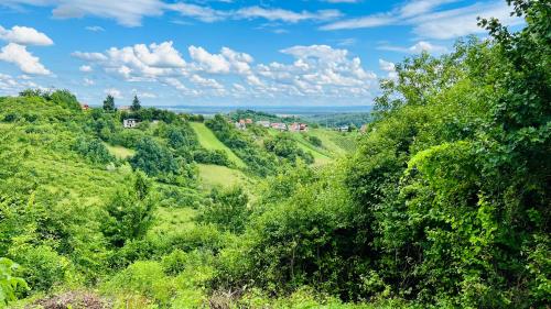 a view of a green hillside with trees at Kuća za odmor Bajka in Jastrebarsko