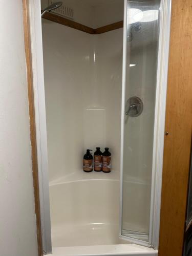 a bathroom with a shower with two jars at Winnie baygo Meadow view in Hurst