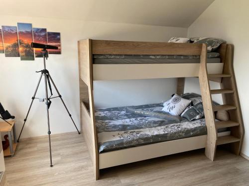 a bedroom with two bunk beds and a tripod at Vineyard Cottage Rigelj in Dolenjske Toplice