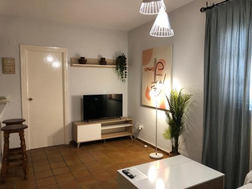 TV a/nebo společenská místnost v ubytování Apartamentos Atalayas Extremadura