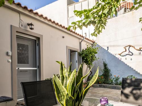 a table with a plant in front of a building at Filoxenia Pagonis in Vília