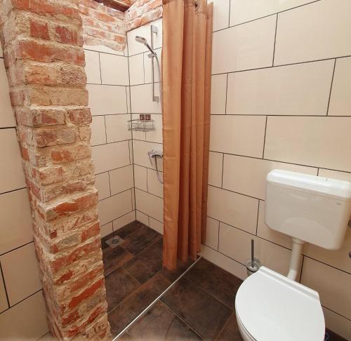 a bathroom with a toilet and a shower at übernachtung in unserem Wohnwagen in Gračac