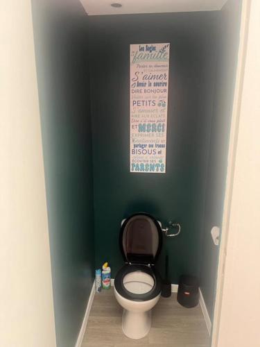 La salle de bains est pourvue de toilettes dans un mur vert. dans l'établissement La casa di Vito, à Lallaing