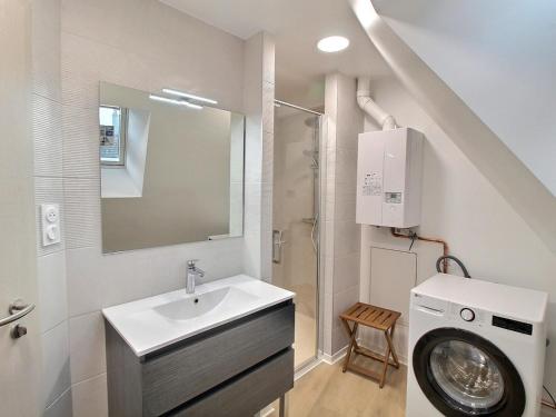 une salle de bain avec un lavabo et une machine à laver dans l'établissement Gîte rénové de charme à Gueberschwihr, au cœur du vignoble, idéal pour 2 personnes - FR-1-722-10, à Gueberschwihr