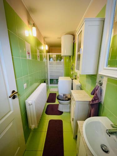 a green bathroom with a toilet and a sink at Őrségi Szajkó Vendégház in Kondorfa