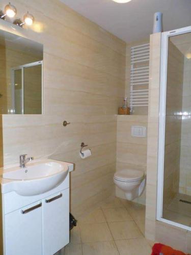 a bathroom with a sink and a toilet at Dom Wczasowy Adela in Łeba