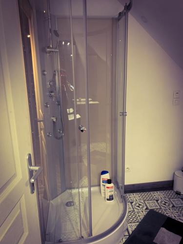 une douche avec une porte vitrée dans une salle de bain dans l'établissement CHAMBRE et JARDIN Village au bord de l eau Cour et Garage privés, à Marcilly-sur-Seine