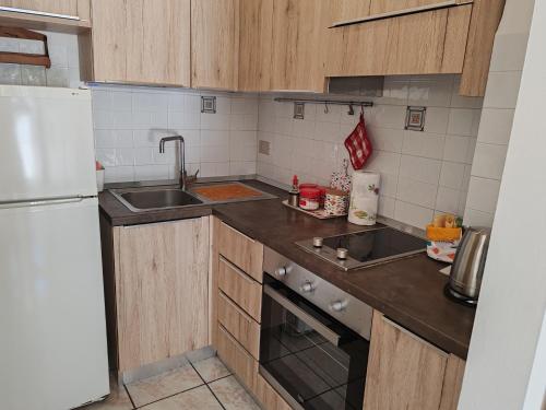 a kitchen with wooden cabinets and a sink and a refrigerator at SiroloHome in Sirolo