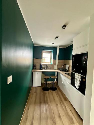 Il comprend une cuisine avec des murs verts et du parquet. dans l'établissement Le loft Émeraude, à Dunkerque