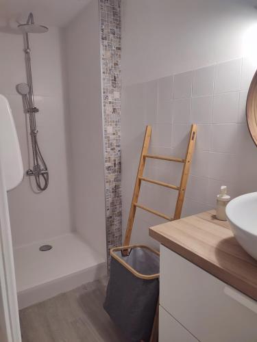 La salle de bains est pourvue d'un lavabo et d'une douche avec une échelle. dans l'établissement Studio Cosy dans la maison d'enfance de Jean Giono, à Manosque