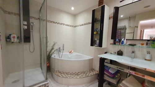 une salle de bain avec une baignoire, une douche et un lavabo dans l'établissement 2 Chambres Chez l'habitant à Paris Bercy - 2 Rooms in a Private Home in Paris Bercy, à Paris
