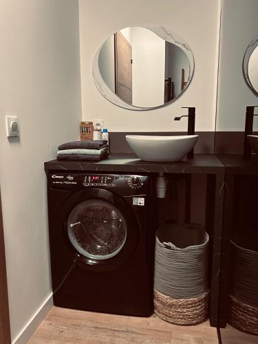 une salle de bain avec une machine à laver et un lavabo dans l'établissement Pura Vida Spa - gîte avec spa extérieur couvert, à Écaillon