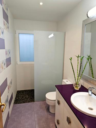 ベニカルロにあるCasa el jardín del Jazmínの洗面台とトイレ付きのバスルーム