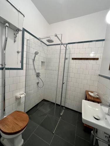a bathroom with a shower and a toilet and a sink at Appartment II Dwor Kuflew in Mrozy