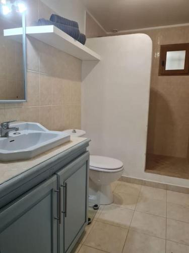 une salle de bain avec un lavabo et des toilettes dans l'établissement Partie de mas en campagne, à Eyragues