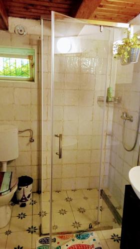 Bilik mandi di Csigaház Vendégház