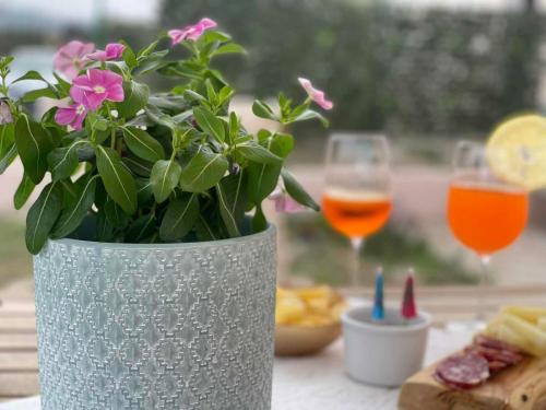 a vase with a plant in it on a table with drinks at La Casetta in Campagna in Enas