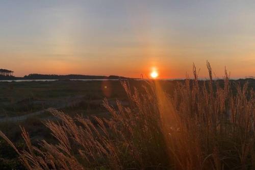 a sunset over a field with tall grass at Inlet Point Villas 12E Cherry Grove Beach "The Point" in Myrtle Beach