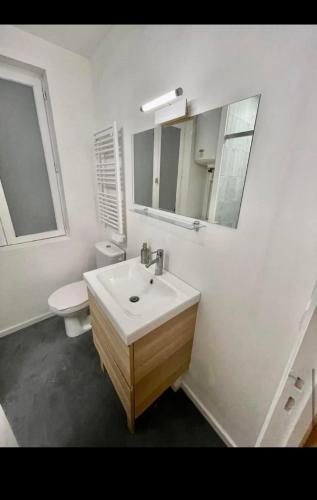 une salle de bain avec un lavabo, des toilettes et un miroir dans l'établissement Appartement lumineux refait à neuf, à Rouen