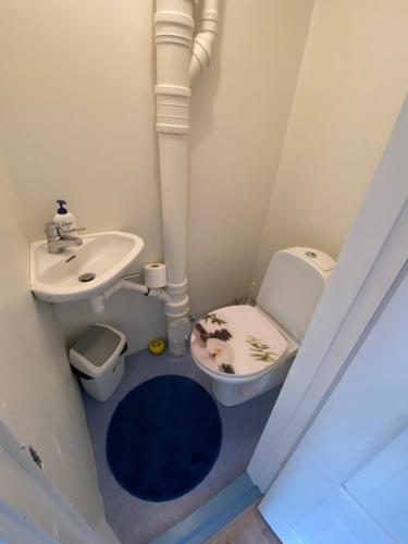 a small bathroom with a sink and a toilet at Solhyddan, tvårumslägenhet i villa nära havet in Båstad