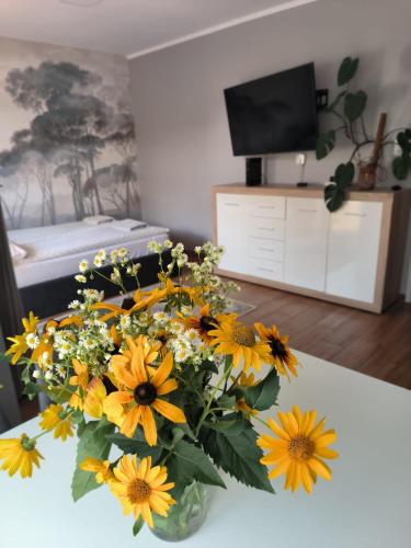 Apartament 25 Mikołajki