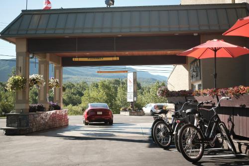 Montar en bicicleta en Fernie Fox Hotel o alrededores
