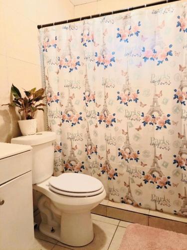 a bathroom with a toilet and a shower curtain at The Hollywood Hostel - Free Breakfast Waffles - Early and Late Check OK! Women Rooms - Men Rooms - Long Term OK in Hallandale Beach