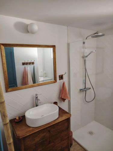 une salle de bain avec un lavabo et une douche avec un miroir dans l'établissement Closerie de Montaimé, à Amboise