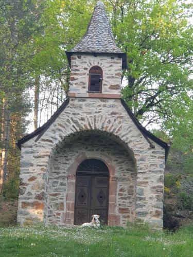 a dog laying in front of a church at Aux gorges du Dourdou in Conques-en-Rouergue