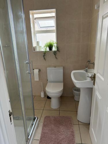 a bathroom with a toilet and a sink and a window at Holiday House in Galway