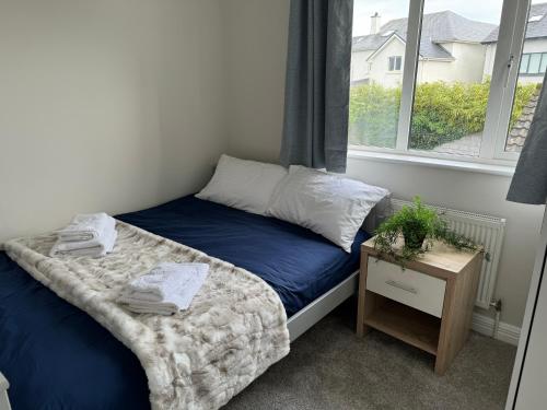 a small bedroom with a blue bed and a window at Holiday House in Galway