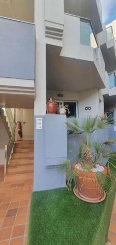 a house with two potted plants on a green rug at Corralejo Sun 119 Fuerteventura in Corralejo