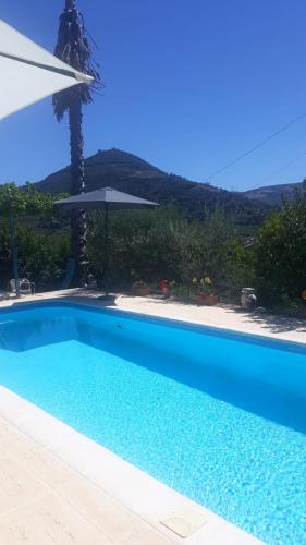 a blue swimming pool with an umbrella and a palm tree at Casa das Laranjeiras in Pinhão