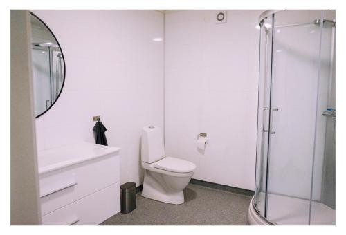 a white bathroom with a toilet and a shower at Valldal Sentrum Overnatting in Valldal
