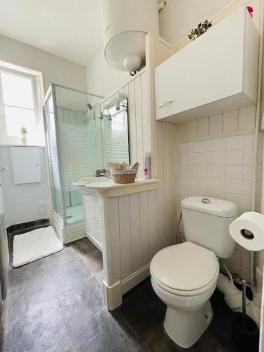 une salle de bain avec toilettes, douche et lavabo dans l'établissement La Belle Évasion, à Clermont-Ferrand