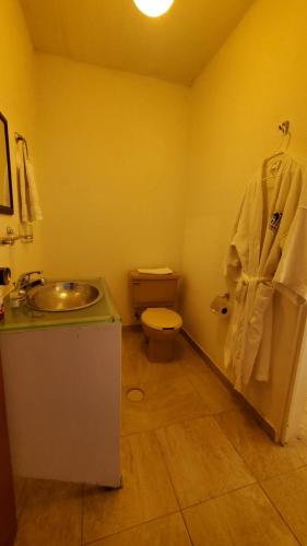 a bathroom with a toilet and a sink at El Monasterio in San Joaquín