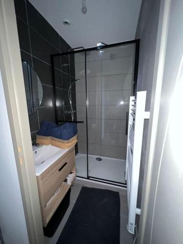 une salle de bain avec douche et lavabo dans l'établissement App T1 bis proche de la gare 501, à Saint-Étienne