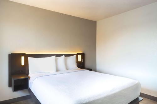 Katil atau katil-katil dalam bilik di Motel 6-Del Rio, TX